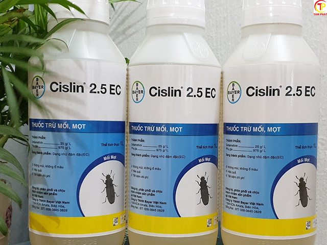 Sử dụng Thuốc diệt mọt cao cấp Cislin đúng cách và hiệu quả nhất