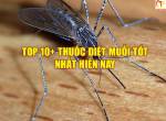 Top 10+ Loại Thuốc Diệt Muỗi Tốt Nhất Hiện Nay
