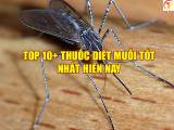 Top 10+ Loại Thuốc Diệt Muỗi Tốt Nhất Hiện Nay