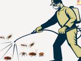 Công ty diệt côn trùng - dịch vụ Diệt Mối, Muỗi, Ruồi, Kiến, Gián, Chuột, côn trùng tốt nhất hiện nay