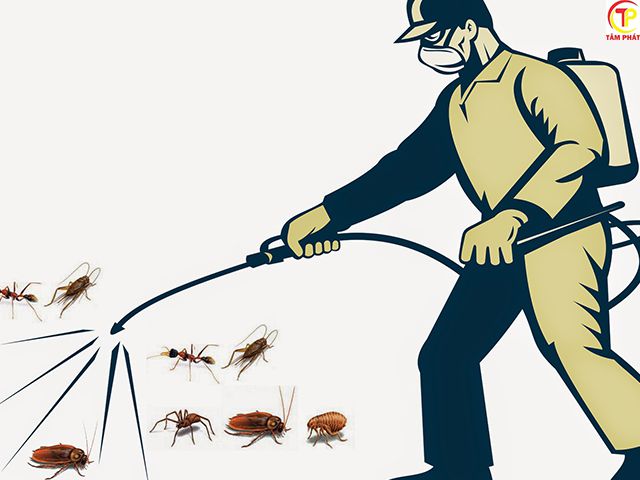 Chuyên cung cấp dịch vụ diệt côn trùng chất lượng - Diệt Mối Tâm Phát