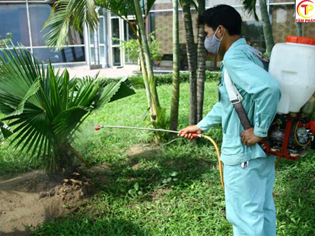Dịch vụ diệt côn trùng Tâm Phát chuyên nghiệp uy tín