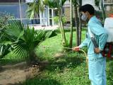 Dịch vụ diệt côn trùng tại Gò Vấp