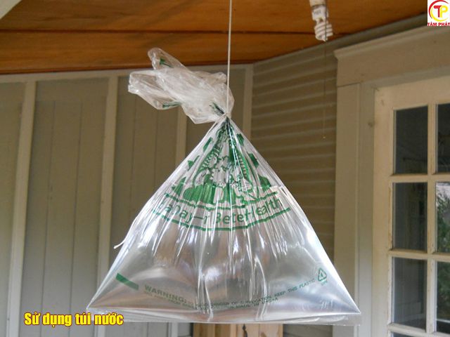 Đuổi ruồi hiệu quả bằng túi nilong đựng nước