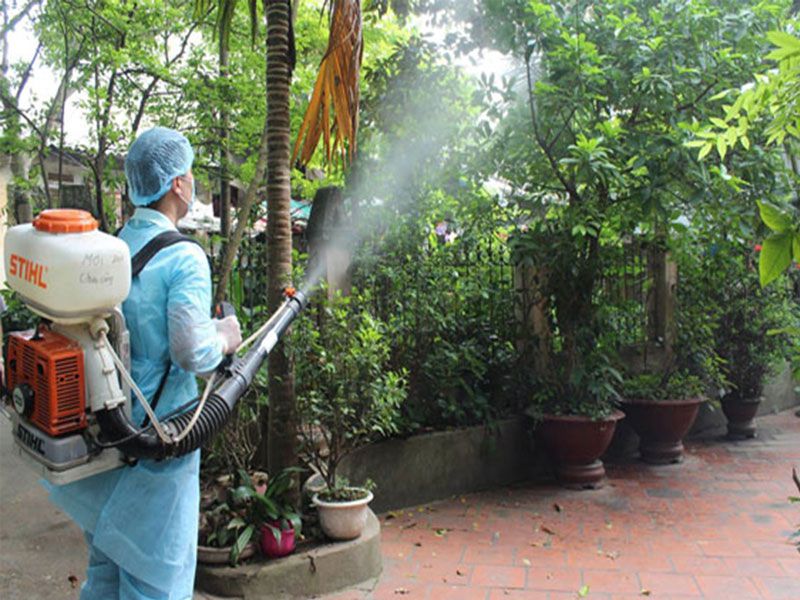 Danh sách các loại thuốc diệt côn trùng được sử dụng rộng rãi 