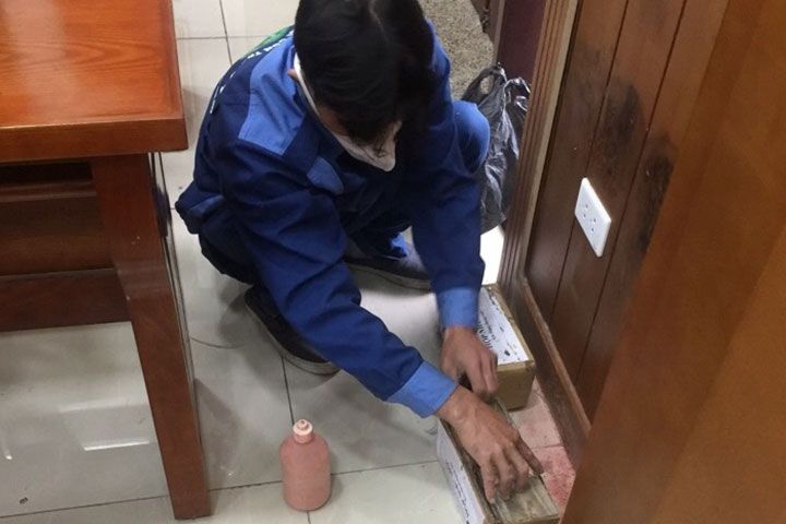 Công ty diệt mối chuyên nghiệp tại Quận Thanh Xuân