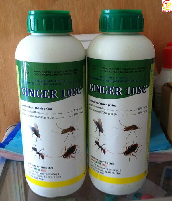 Ginger 10SC - giải pháp diệt trừ muỗi nhanh chóng